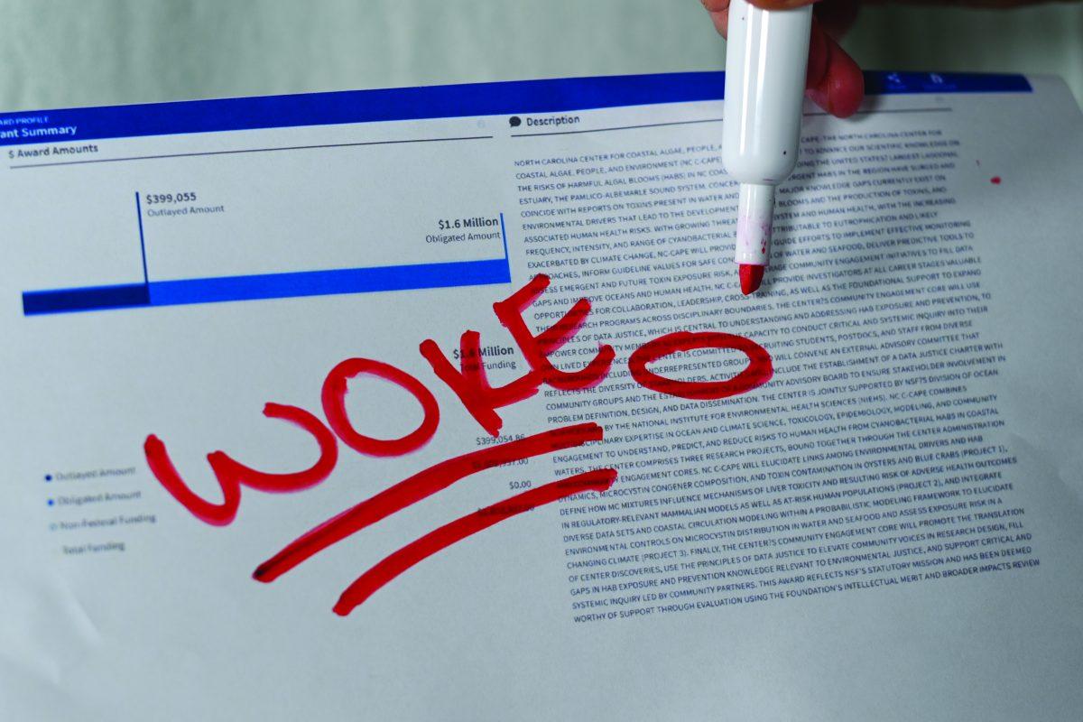 WokePhotoIllustration_CH.jpg