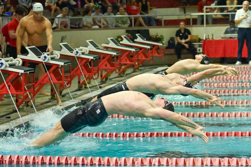 The NC State men's swim team starts the 200 medley relay during the meet against UNC-Wilmington in the Casey Aquatic Center on Friday, Jan. 31, 2025. The Wolfpack beat the Seahawks 161-114.