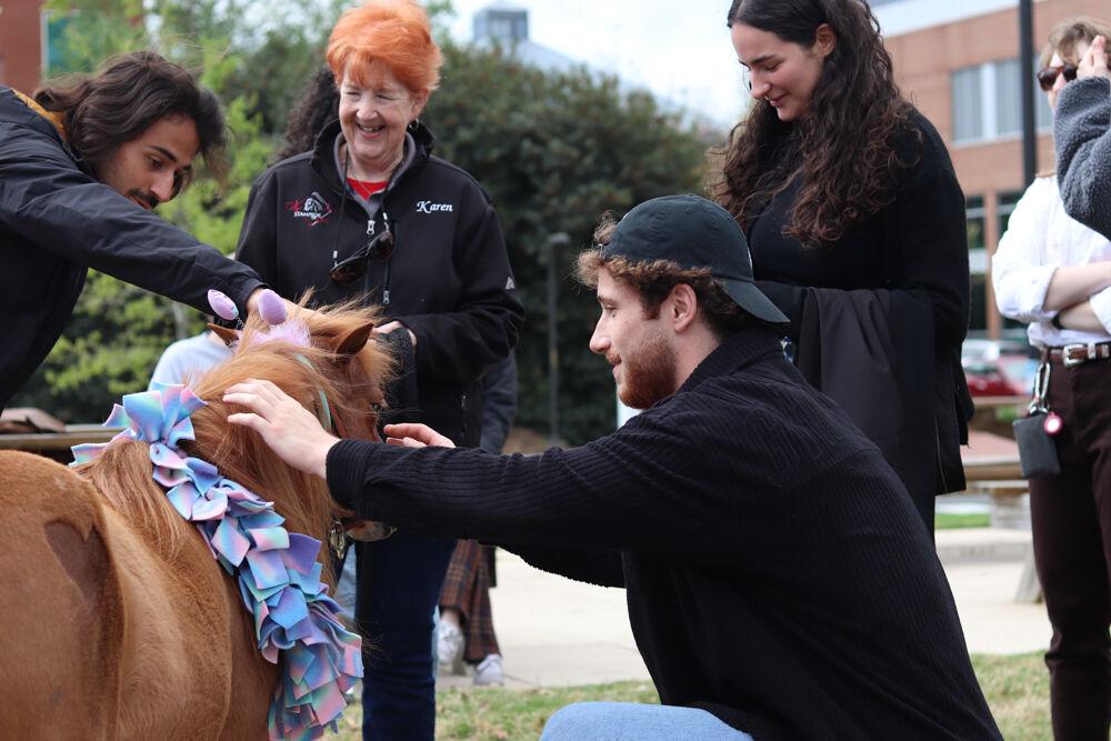 Theo Hoquidant, a finance student in the SKEMA program, pets therapy horses at The Corner on Centennial Campus on Tuesday, April 8, 2025. The horses are a part of the Stampede of Love organization, a non-profit group dedicated to sharing the therapeutic benefits of animal therapy of adults and children.