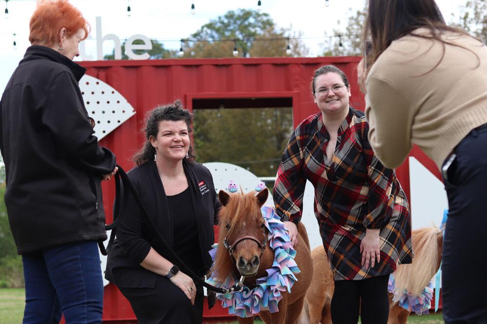 Poole College of Management staff Megan Joyner and Darie Bradley pet Peaches the Mini Horse at The Corner on Centennial Campus on Tuesday, April 8, 2025. Peaches is a part of the Stampede of Love organization, a non-profit group dedicated to sharing the therapeutic benefits of animal therapy of adults and children.